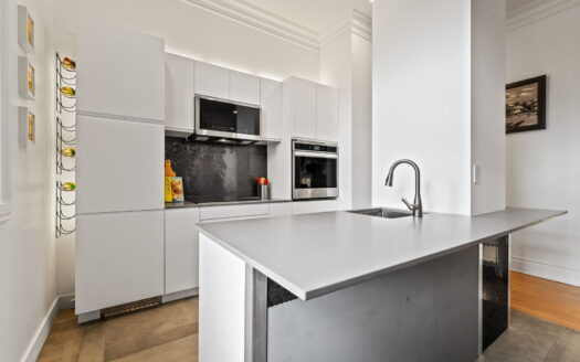 Condo lumineux avec vue sur le Mont-Royal