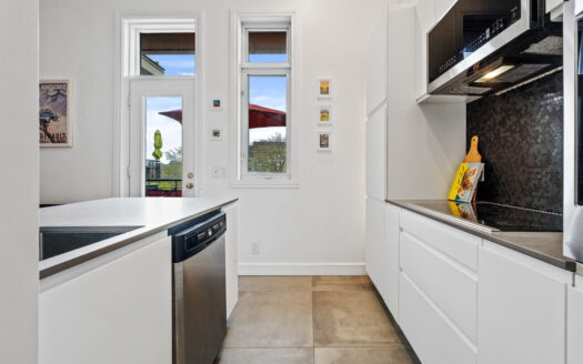 Condo lumineux avec vue sur le Mont-Royal